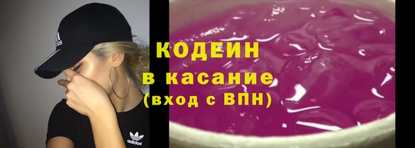 шишки Аркадак
