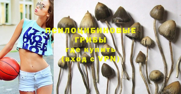 меф Армянск