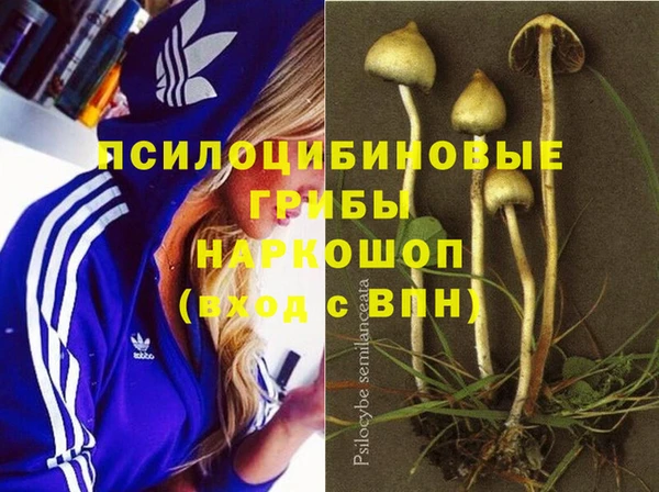 меф Армянск