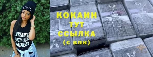 шишки Аркадак
