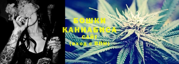 шишки Аркадак