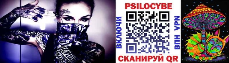 Галлюциногенные грибы GOLDEN TEACHER  купить наркоту  Балей 